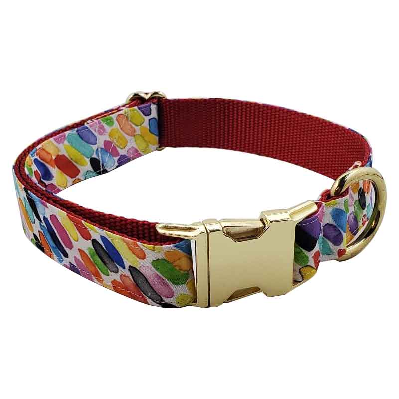 Rainbow Splash Collar