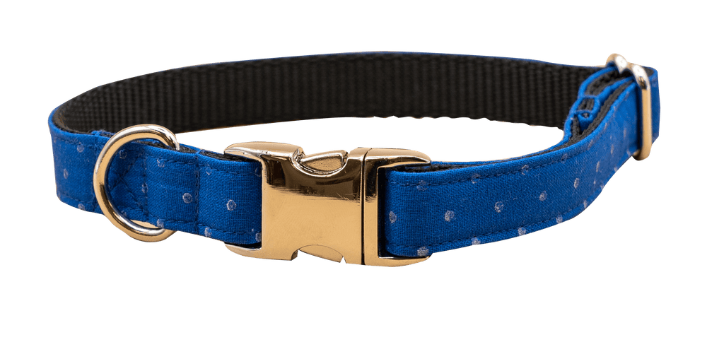 Royal Blue Dot collar