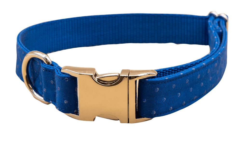 Royal Blue Dot collar