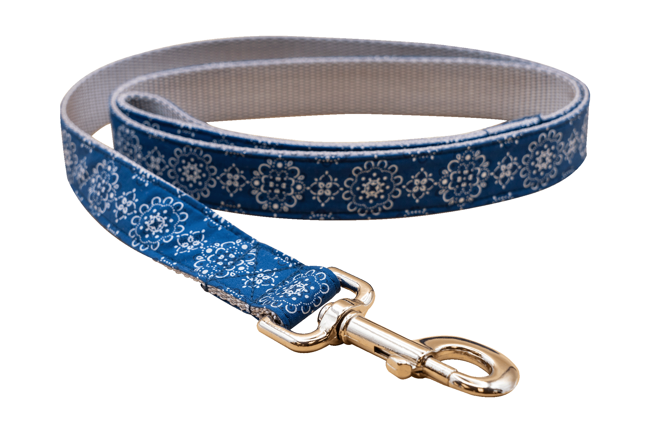 Parisian Blue Leash