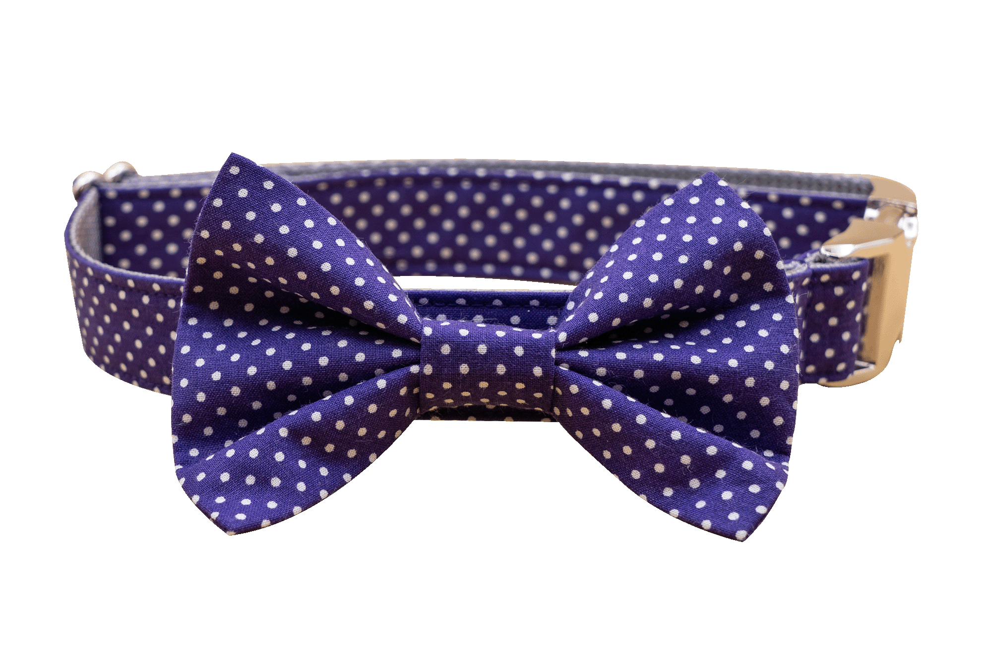 Purple Pin Dot Bowtie Collar