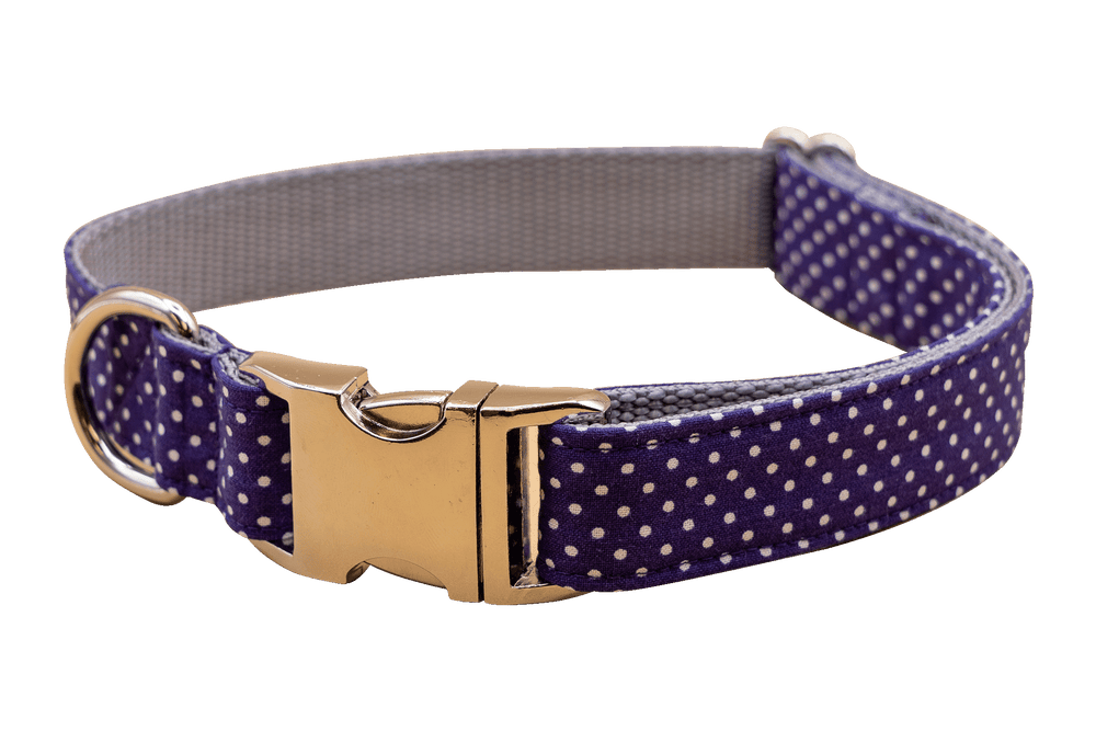 Purple Pin Dot Collar