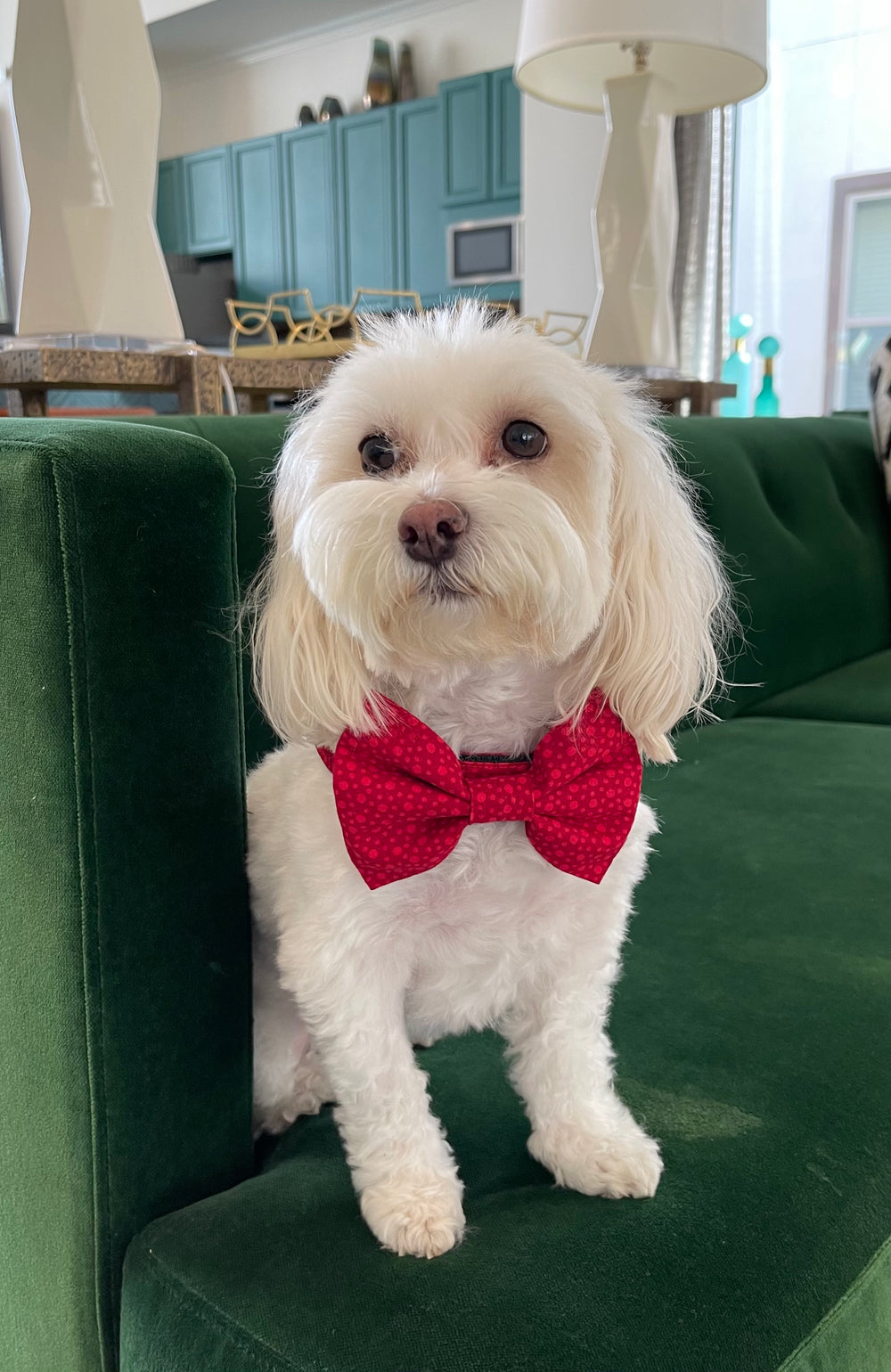 Red Hot Dots Bowtie